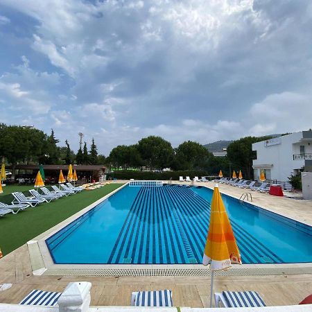 Palm Club Apart Otel 库萨达斯 外观 照片
